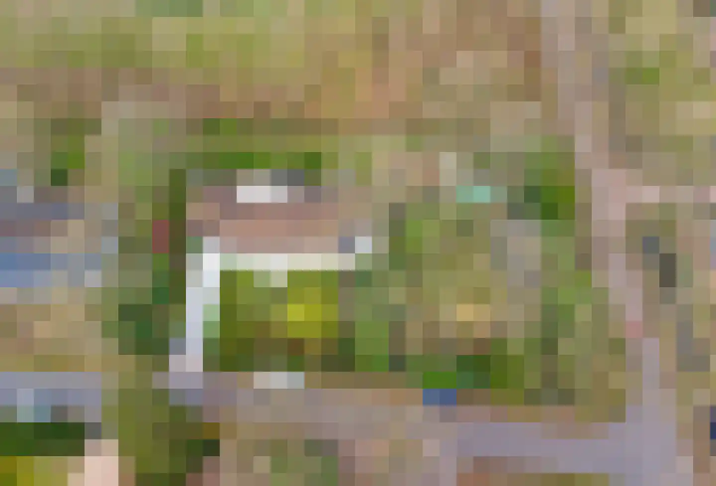 Dennenlaan 17 Putte thumbnail 30