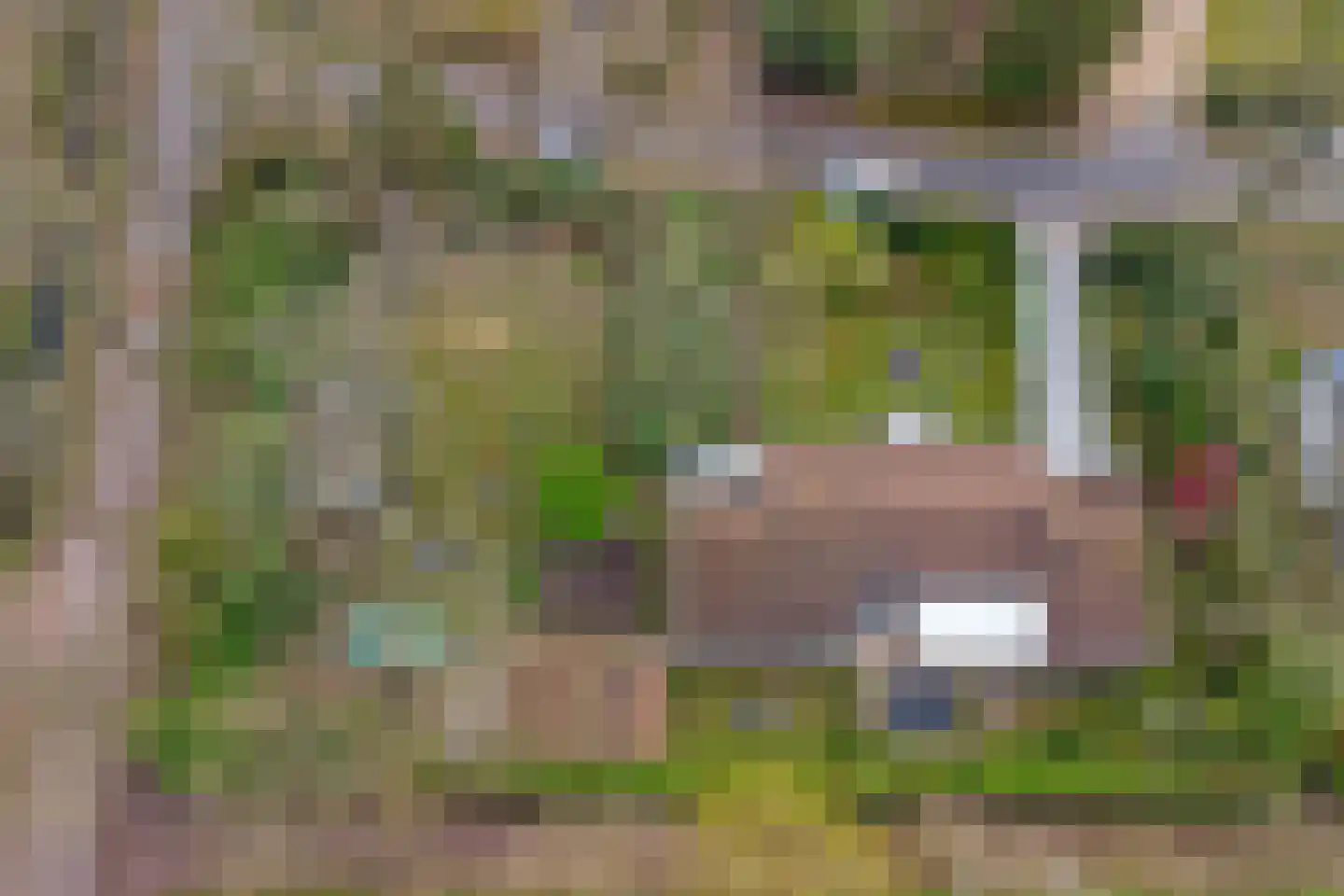 Dennenlaan 17 Putte thumbnail 36