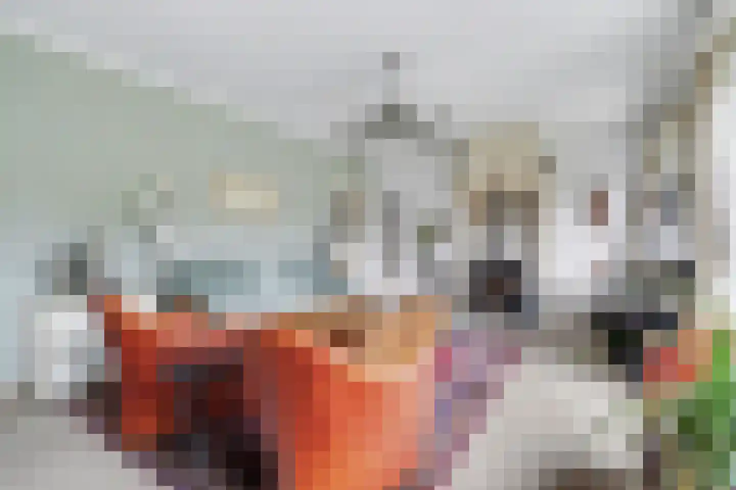 Dennenlaan 17 Putte thumbnail 5