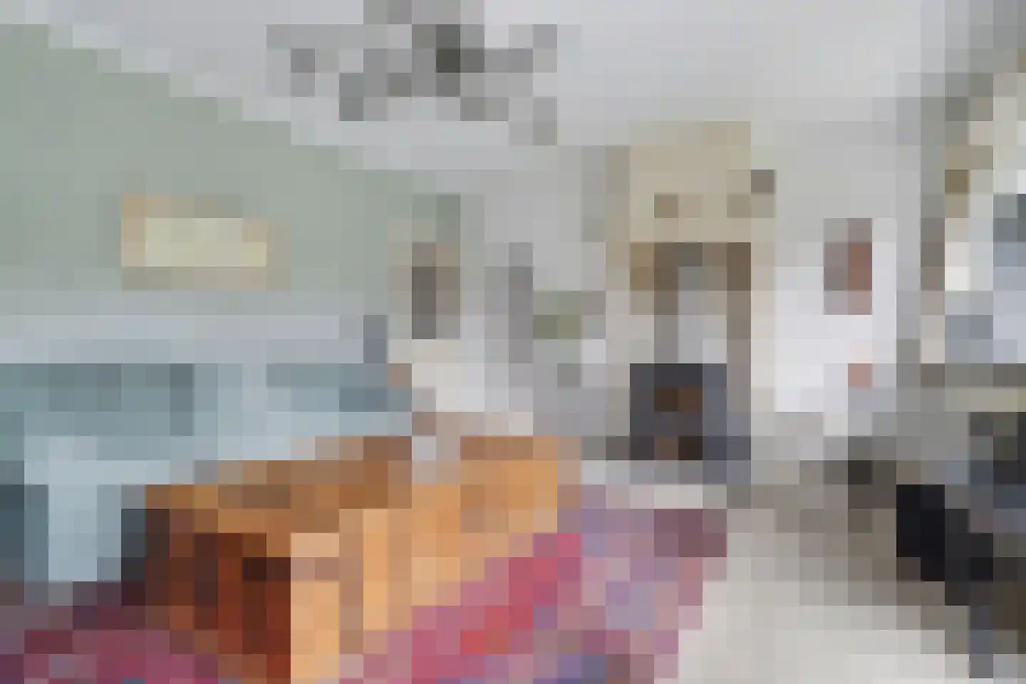 Dennenlaan 17 Putte thumbnail 6