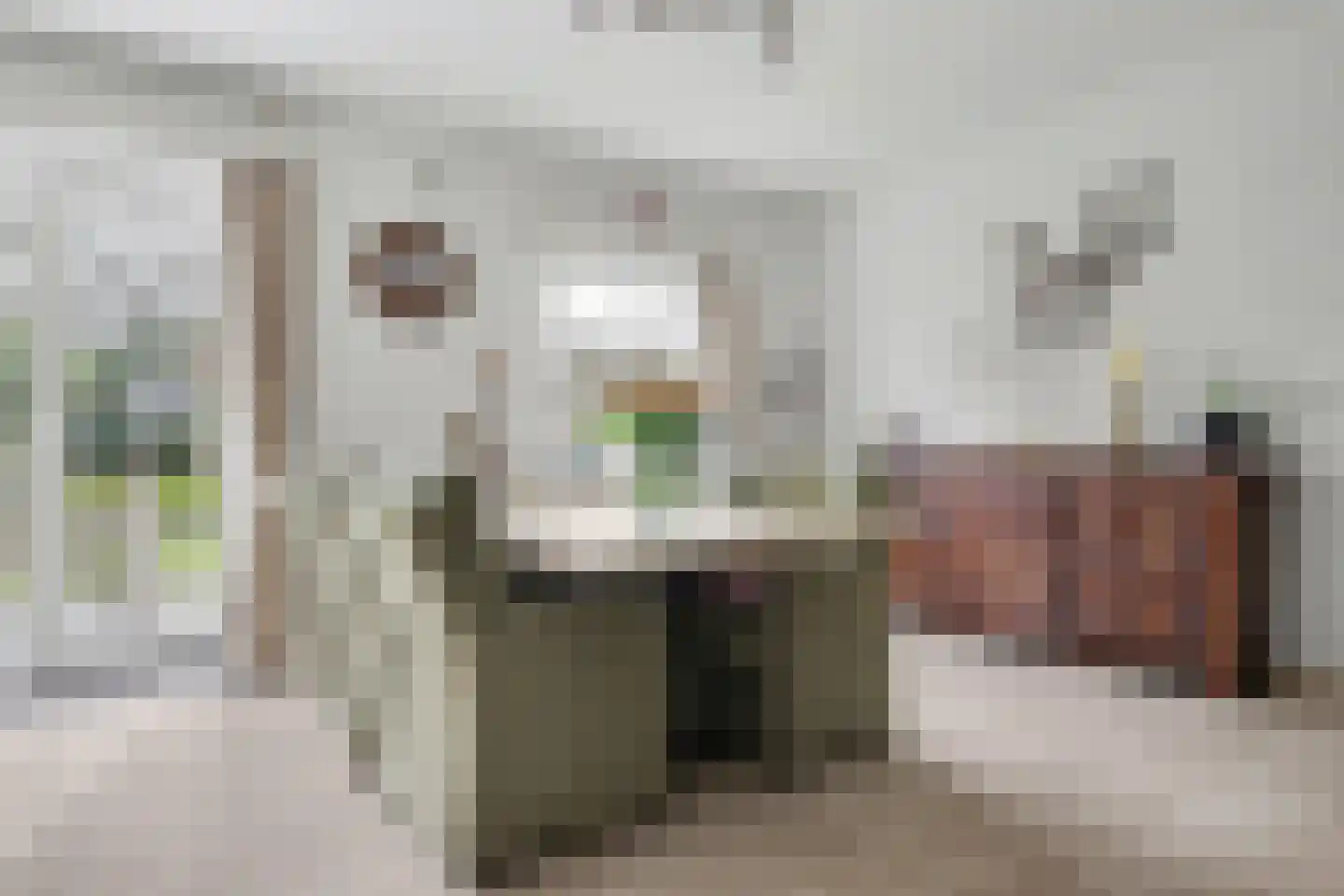 Dennenlaan 17 Putte thumbnail 8