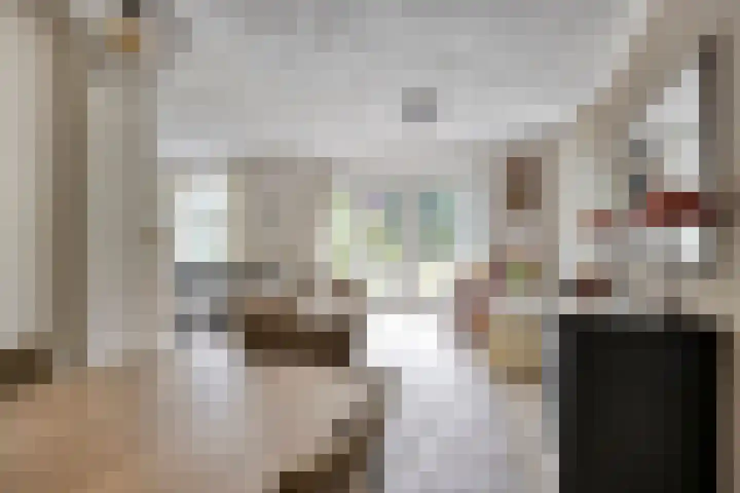 Dennenlaan 18 Oss thumbnail 10