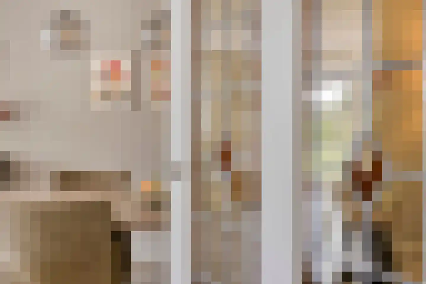 Dennenlaan 18 Oss thumbnail 13