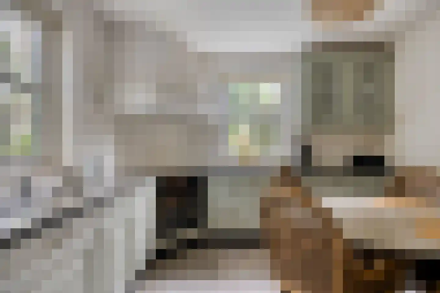 Dennenlaan 18 Oss thumbnail 14