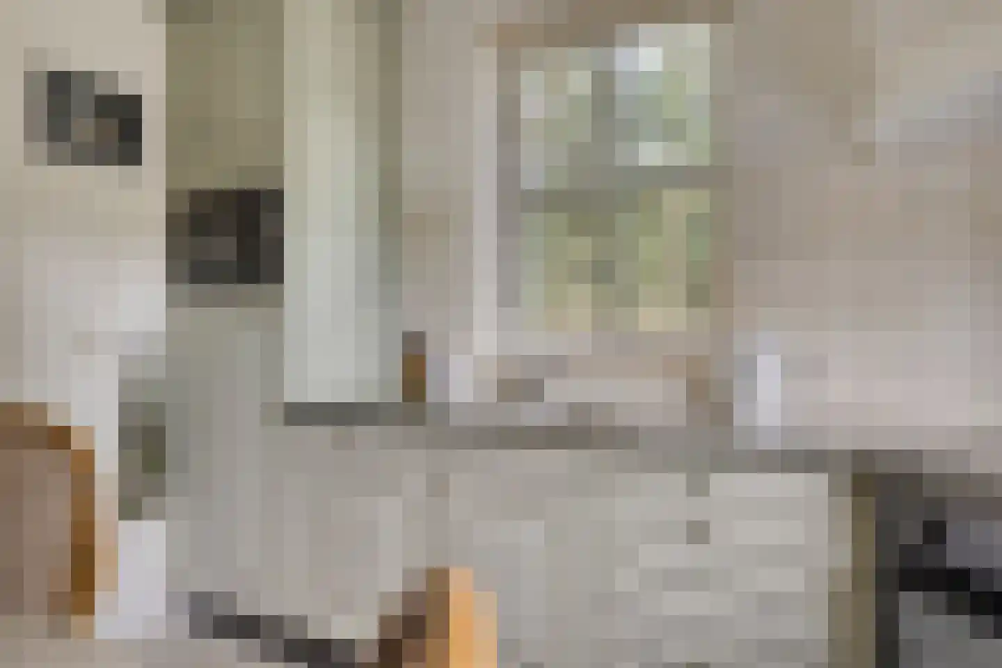 Dennenlaan 18 Oss thumbnail 15