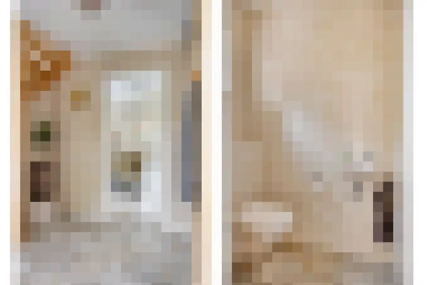 Dennenlaan 18 Oss thumbnail 17