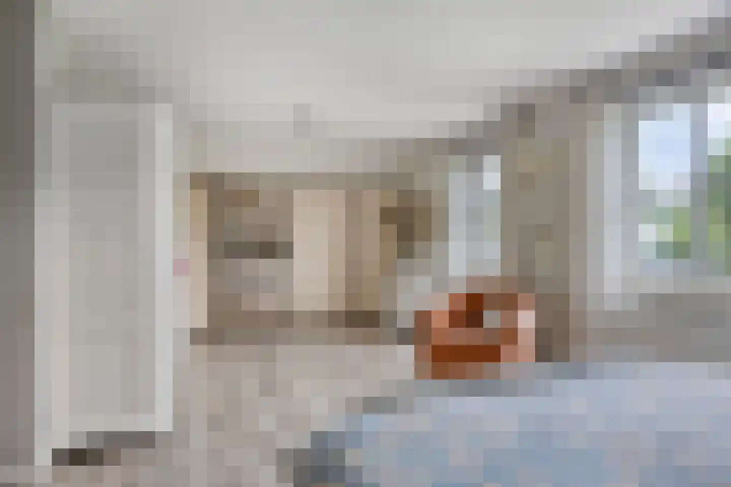 Dennenlaan 18 Oss thumbnail 21