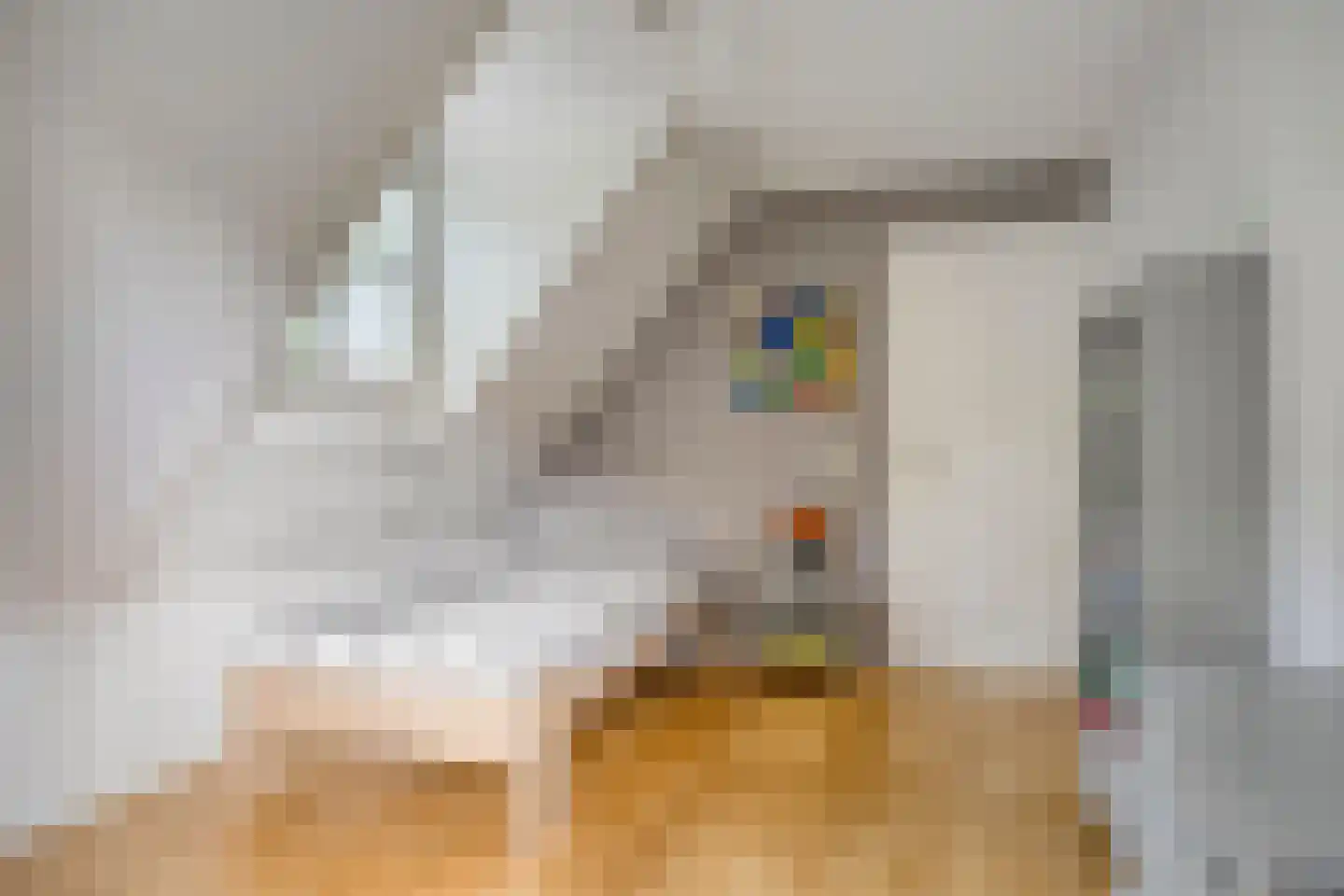 Dennenlaan 18 Oss thumbnail 22