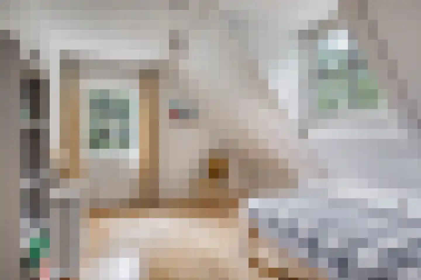 Dennenlaan 18 Oss thumbnail 23