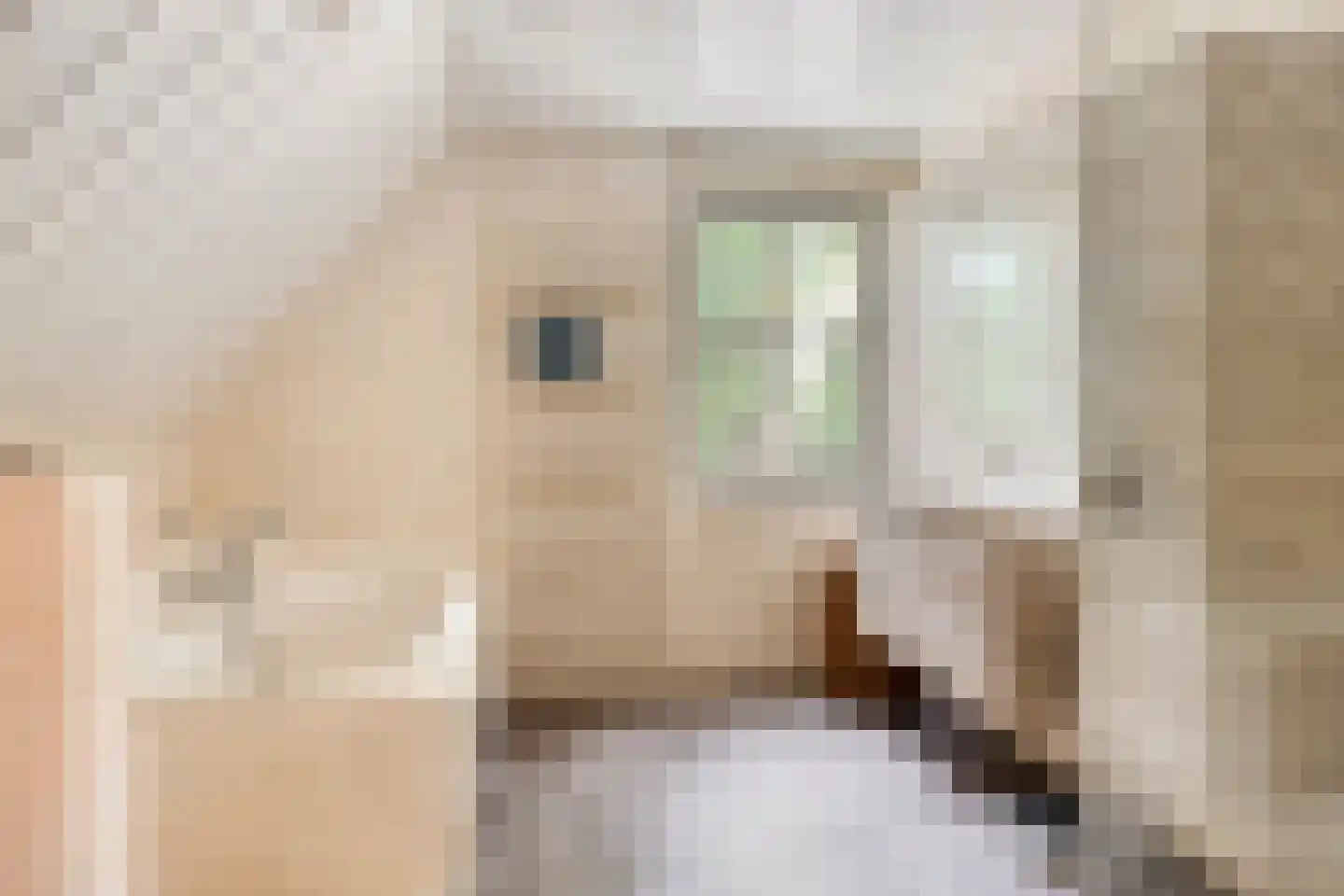 Dennenlaan 18 Oss thumbnail 29