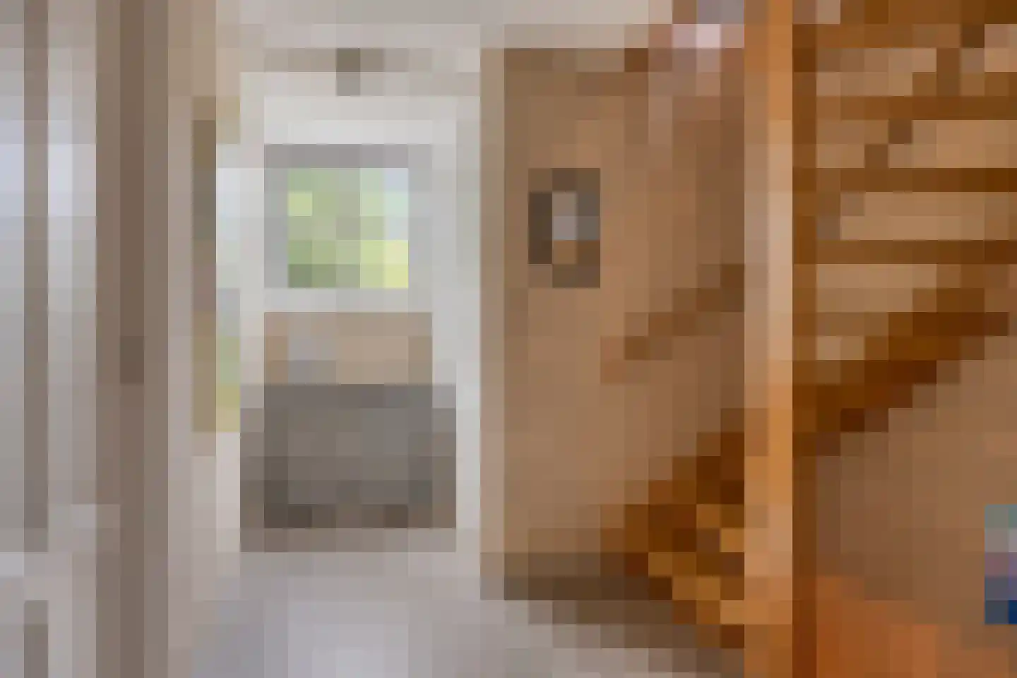 Dennenlaan 18 Oss thumbnail 30