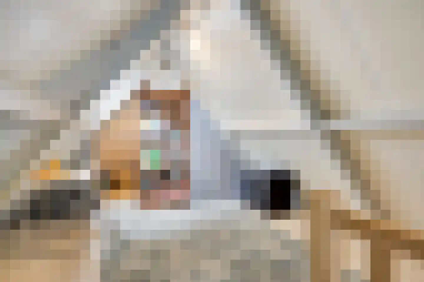 Dennenlaan 18 Oss thumbnail 31