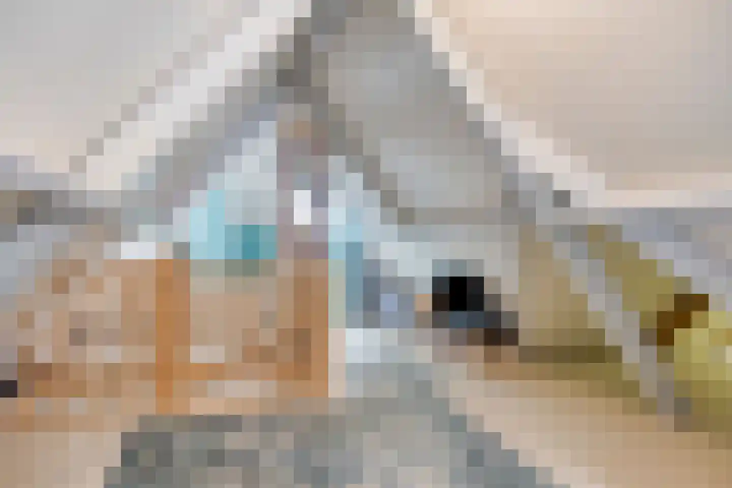 Dennenlaan 18 Oss thumbnail 32