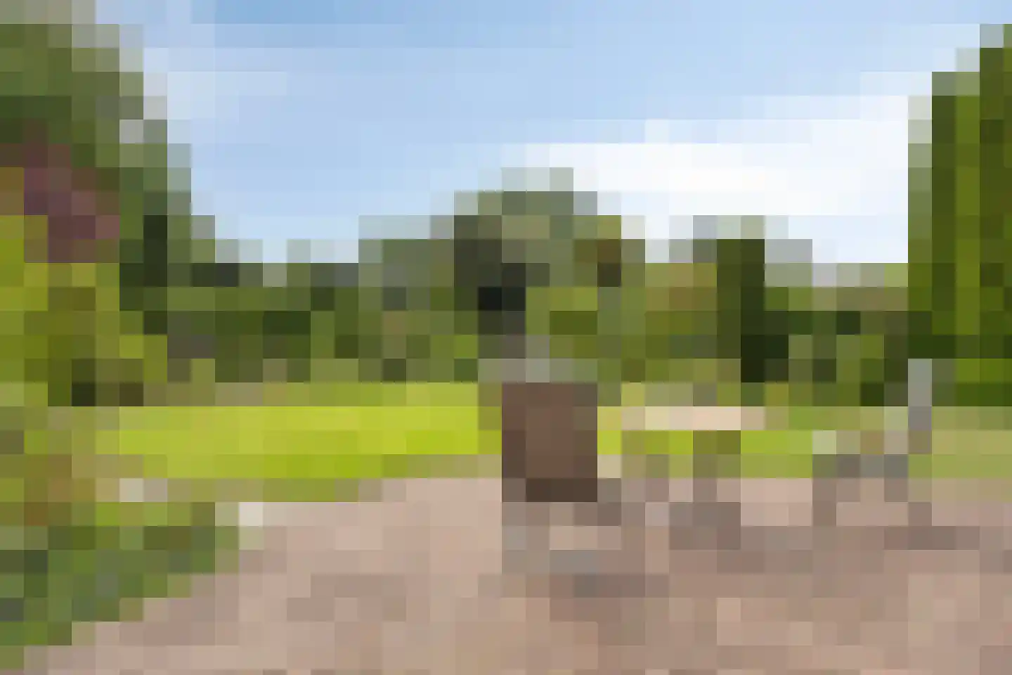 Dennenlaan 18 Oss thumbnail 39