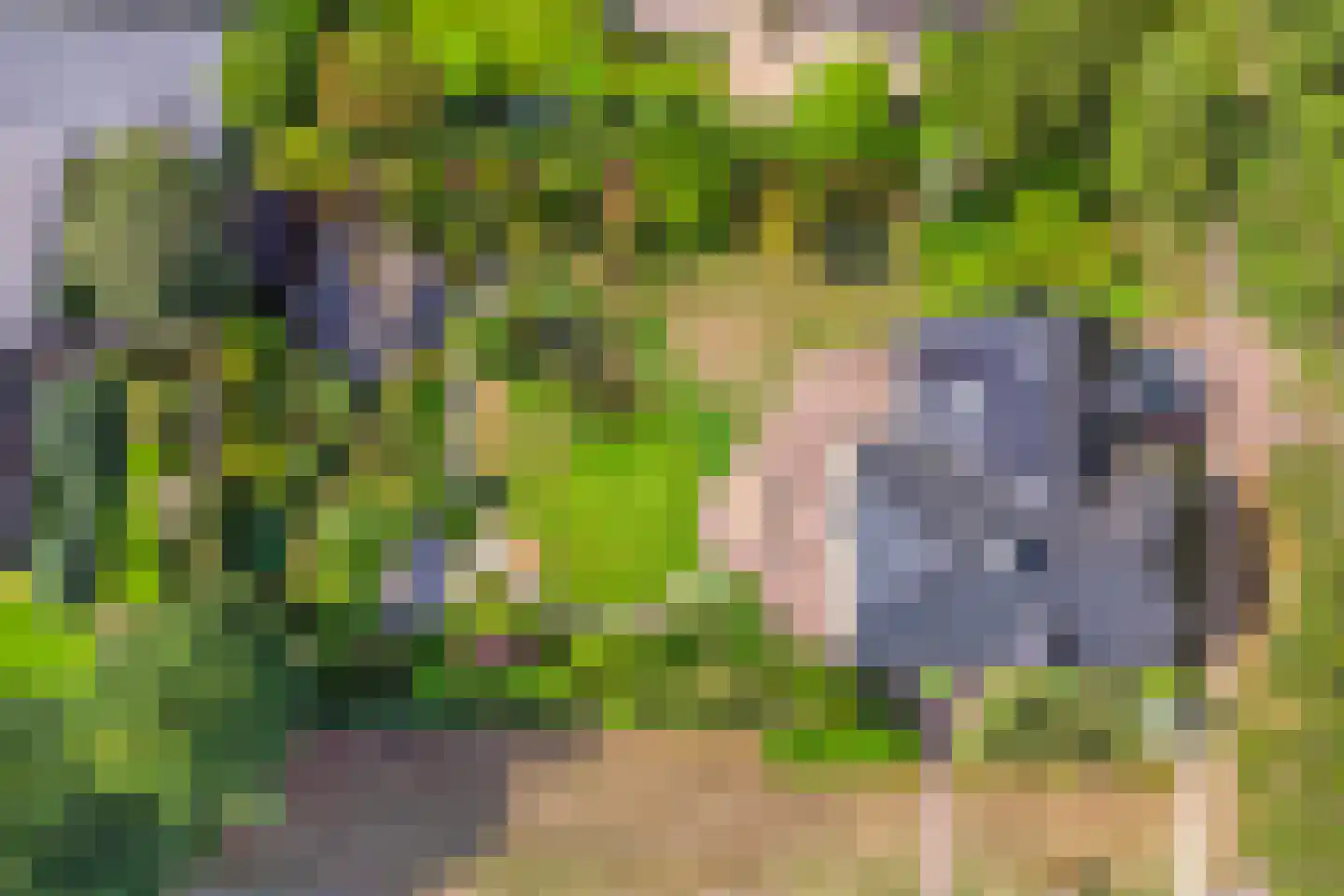 Dennenlaan 18 Oss thumbnail 40