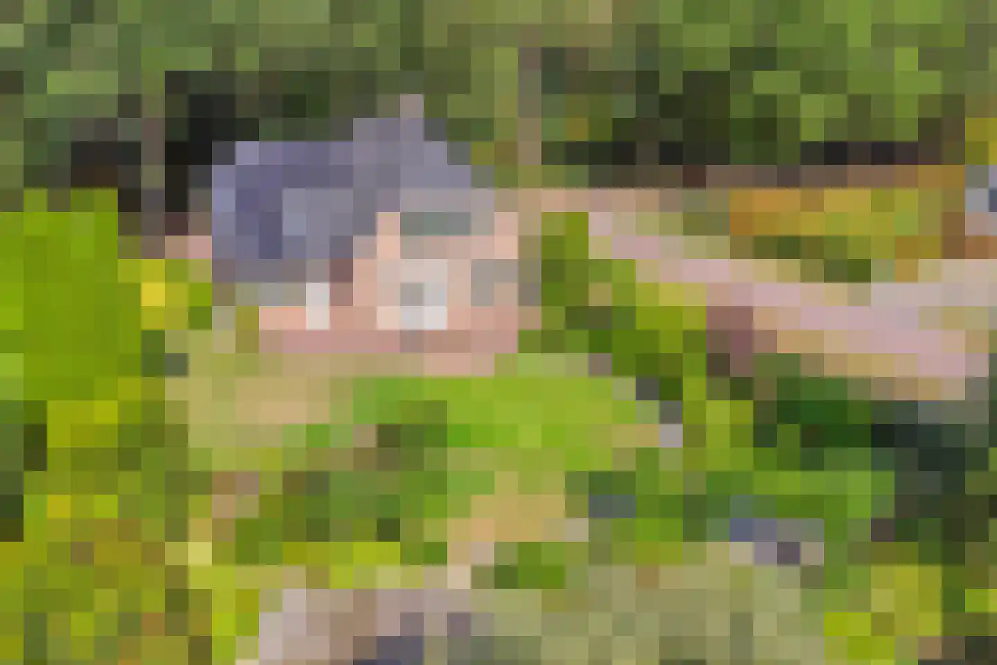 Dennenlaan 18 Oss thumbnail 41