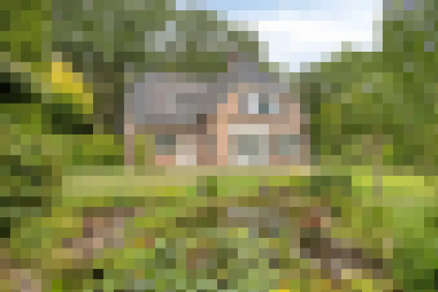 Dennenlaan 18 Oss thumbnail 42