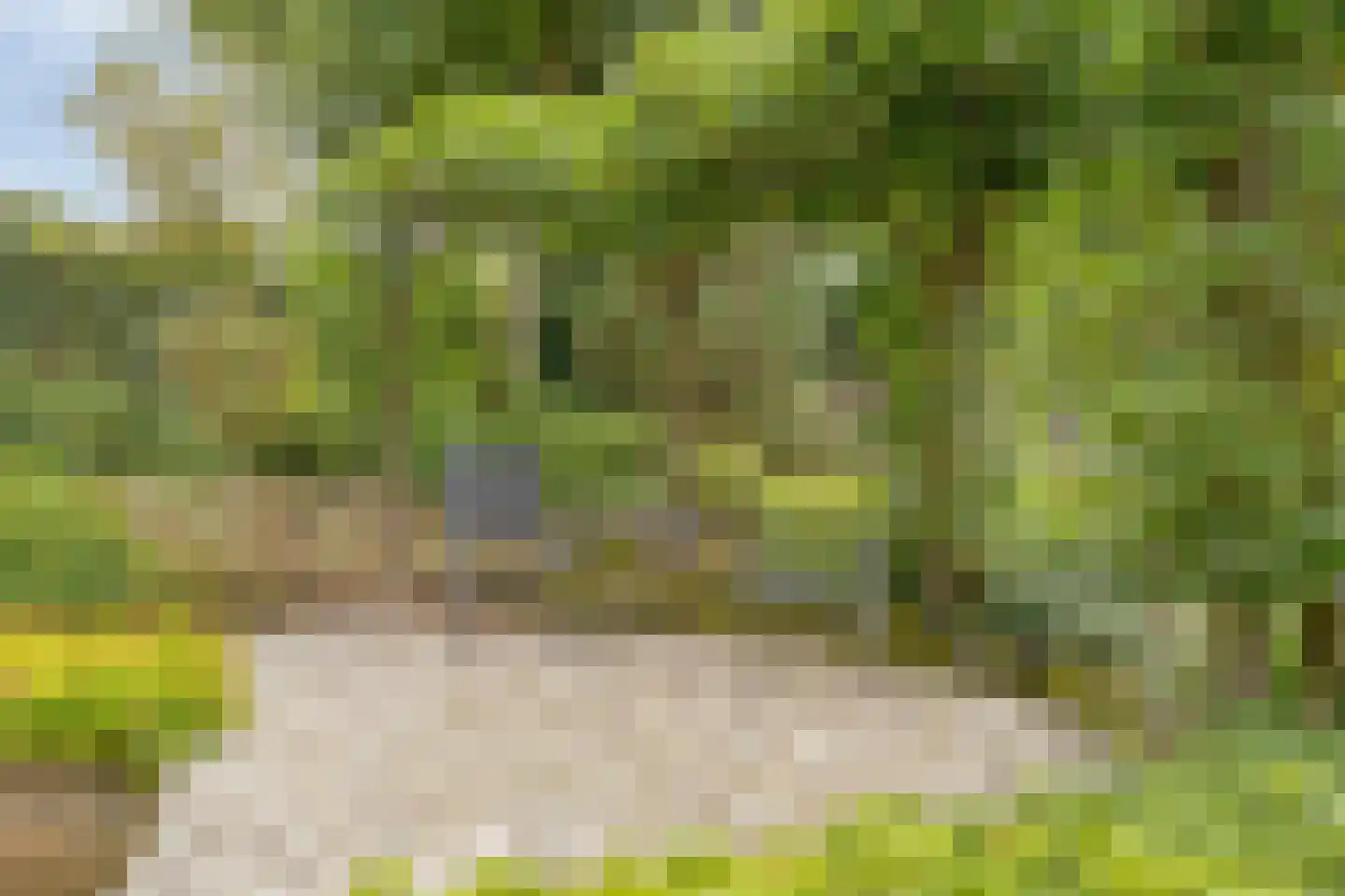Dennenlaan 18 Oss thumbnail 43