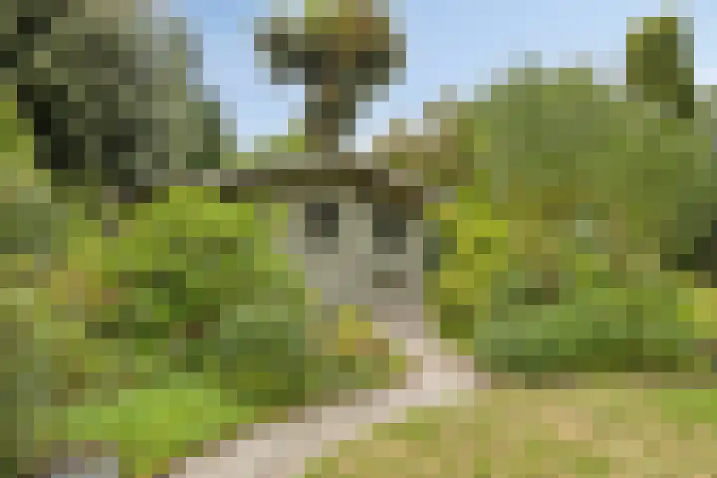 Dennenlaan 18 Oss thumbnail 44