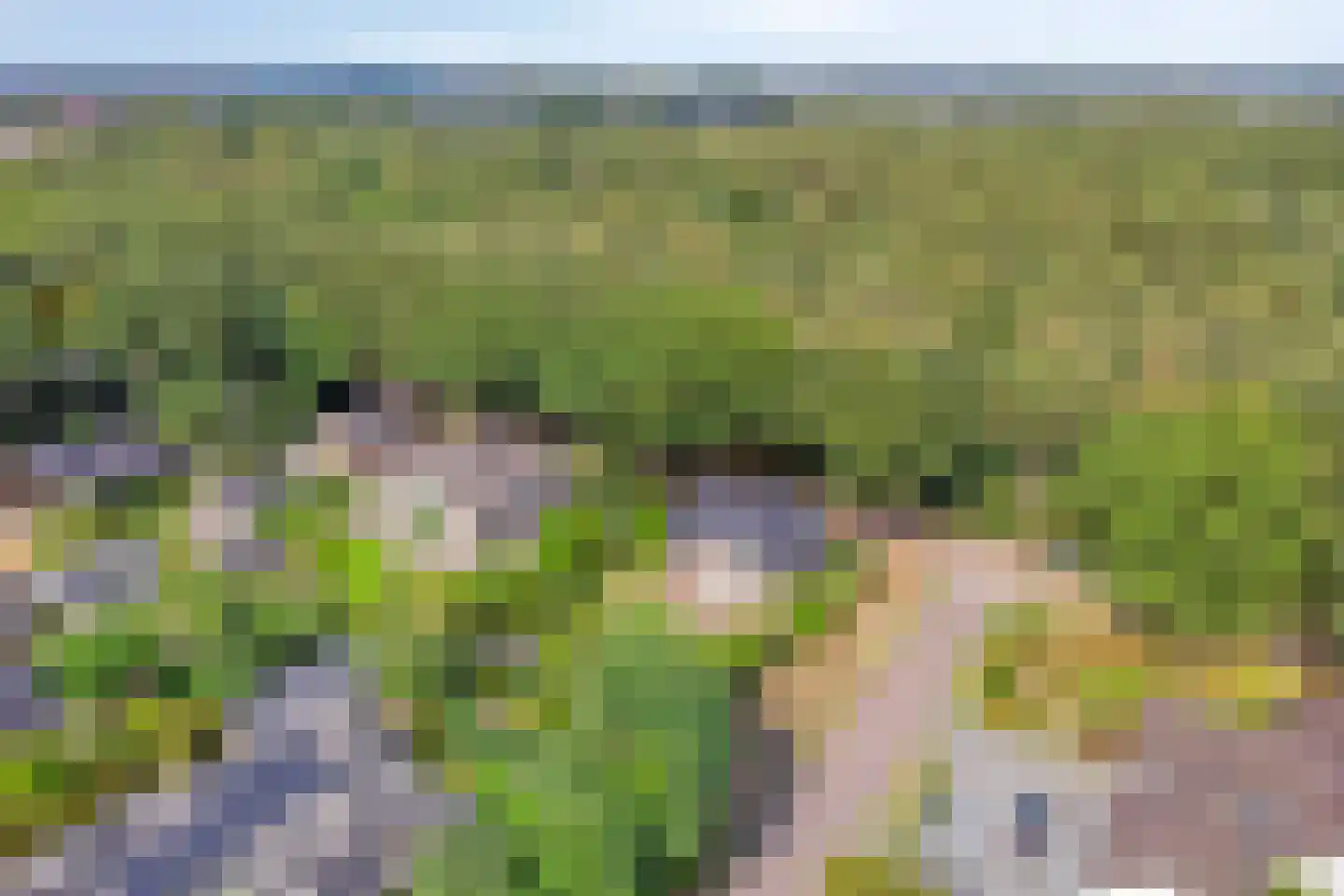 Dennenlaan 18 Oss thumbnail 45