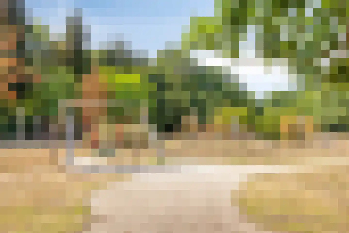 Dennenlaan 18 Oss thumbnail 46