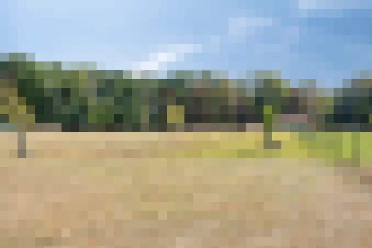 Dennenlaan 18 Oss thumbnail 47