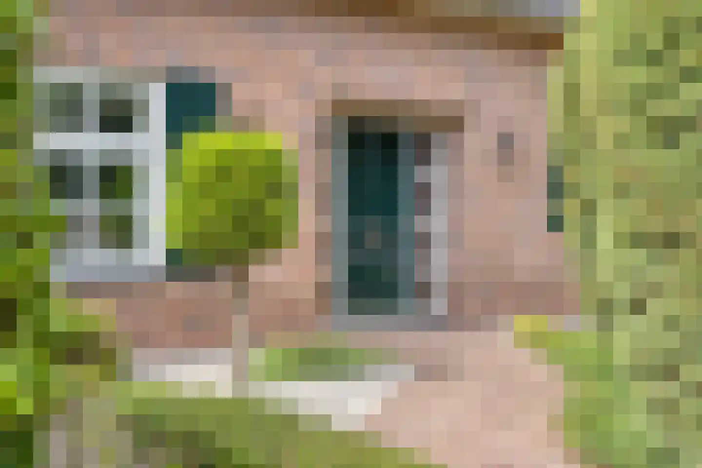 Dennenlaan 18 Oss thumbnail 5