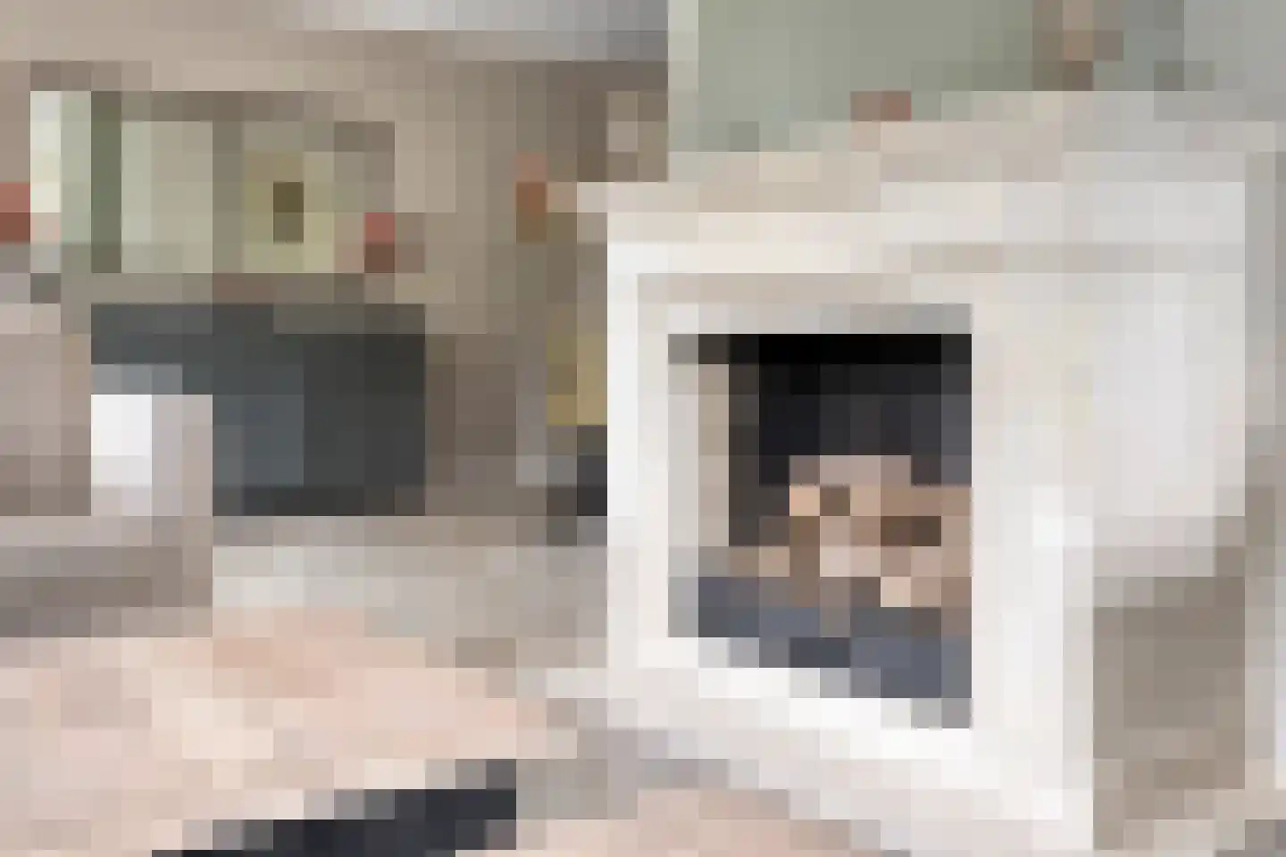Dennenlaan 18 Oss thumbnail 7