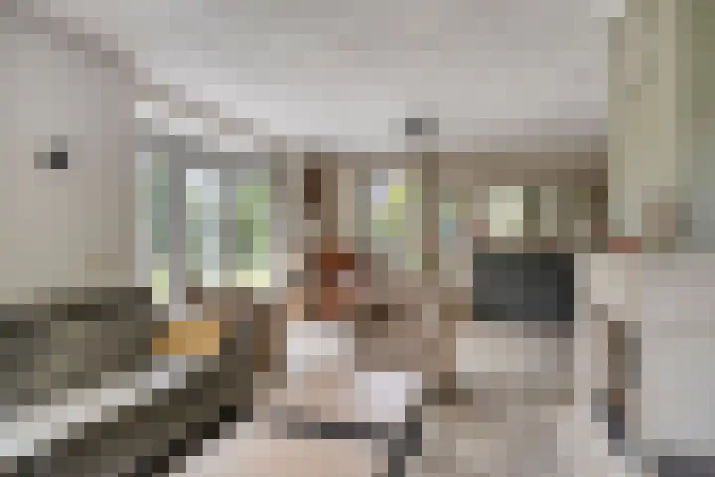 Dennenlaan 18 Oss thumbnail 8