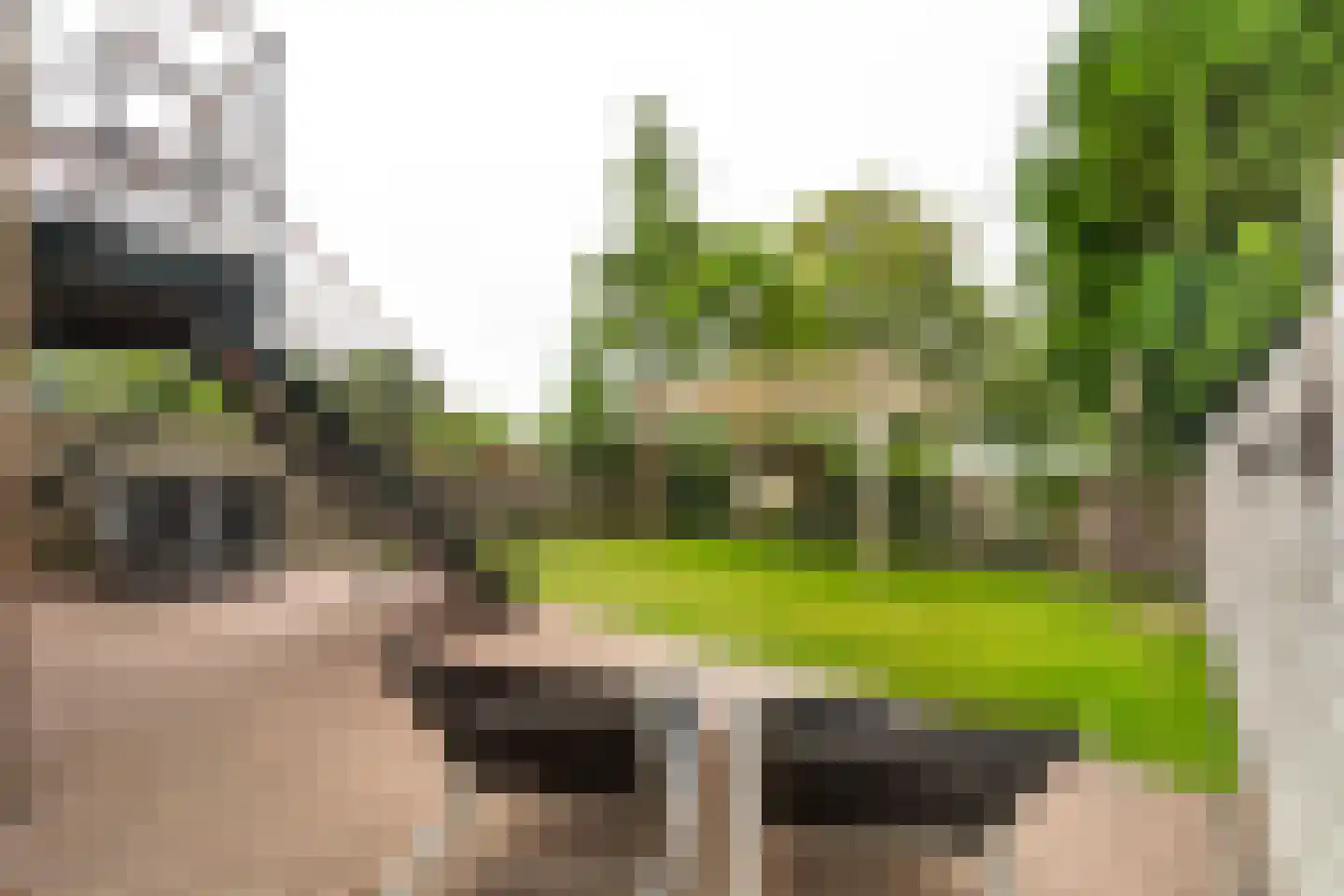Dennenlaan 181 Zwanenburg thumbnail 28