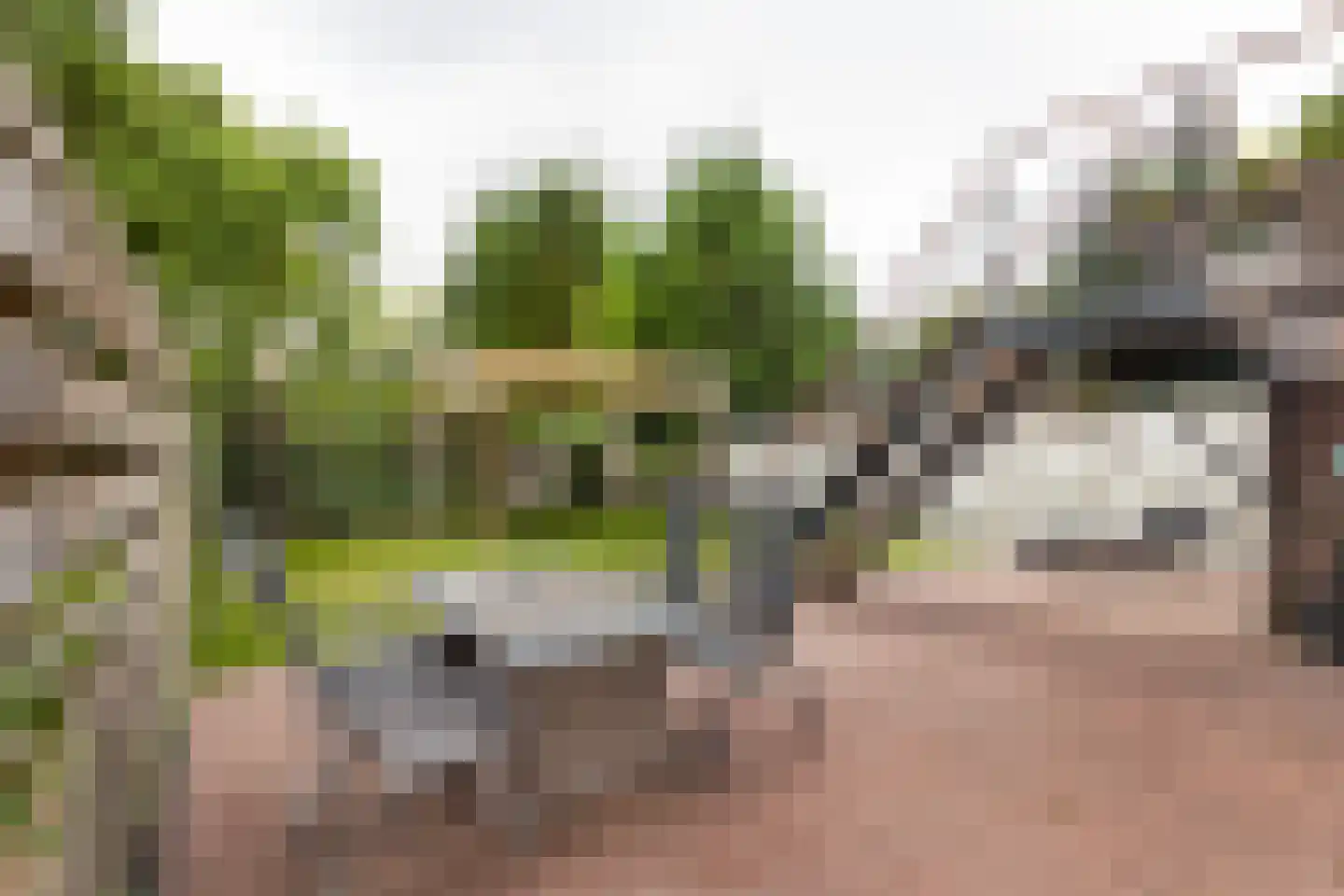 Dennenlaan 181 Zwanenburg thumbnail 29