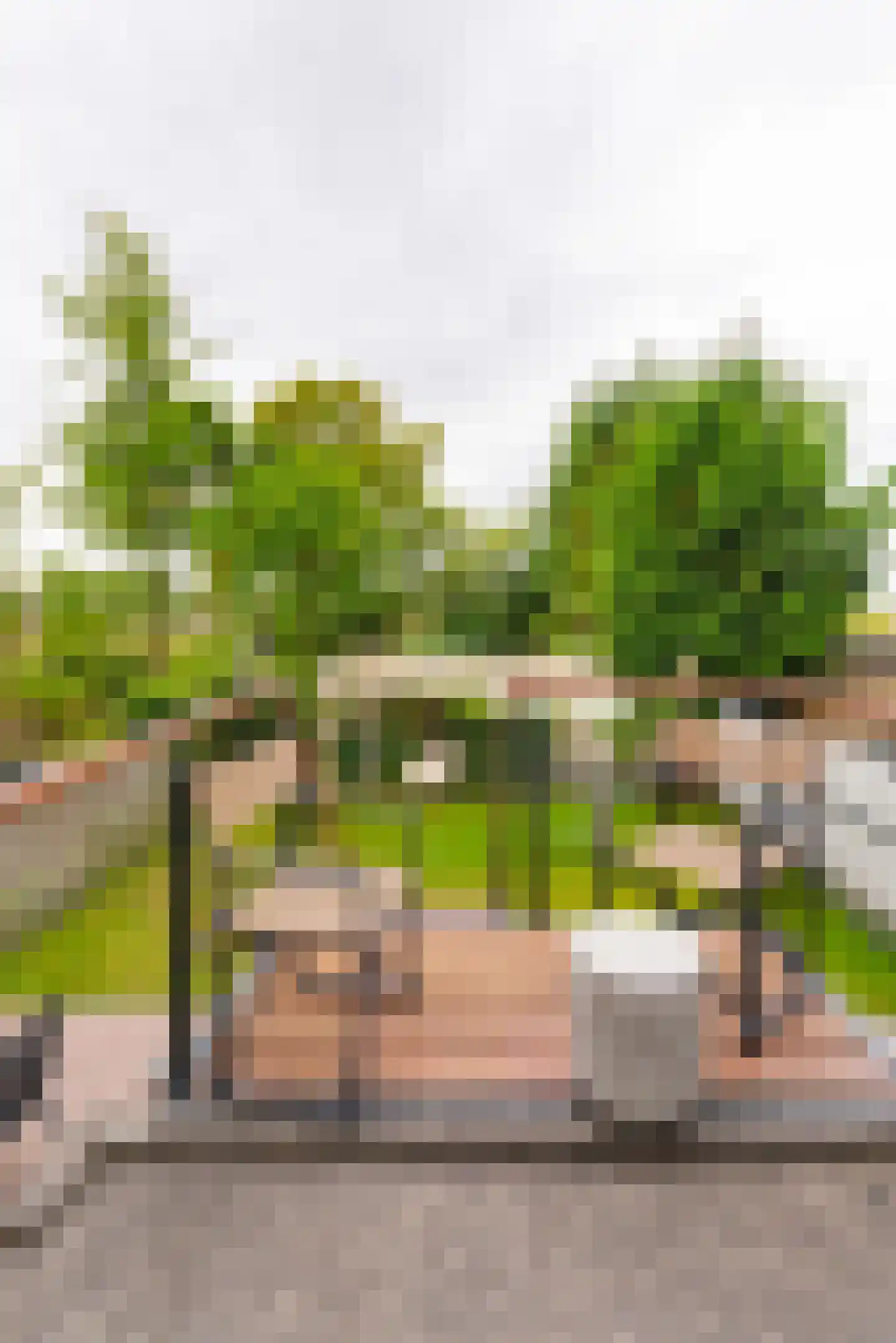 Dennenlaan 181 Zwanenburg thumbnail 31