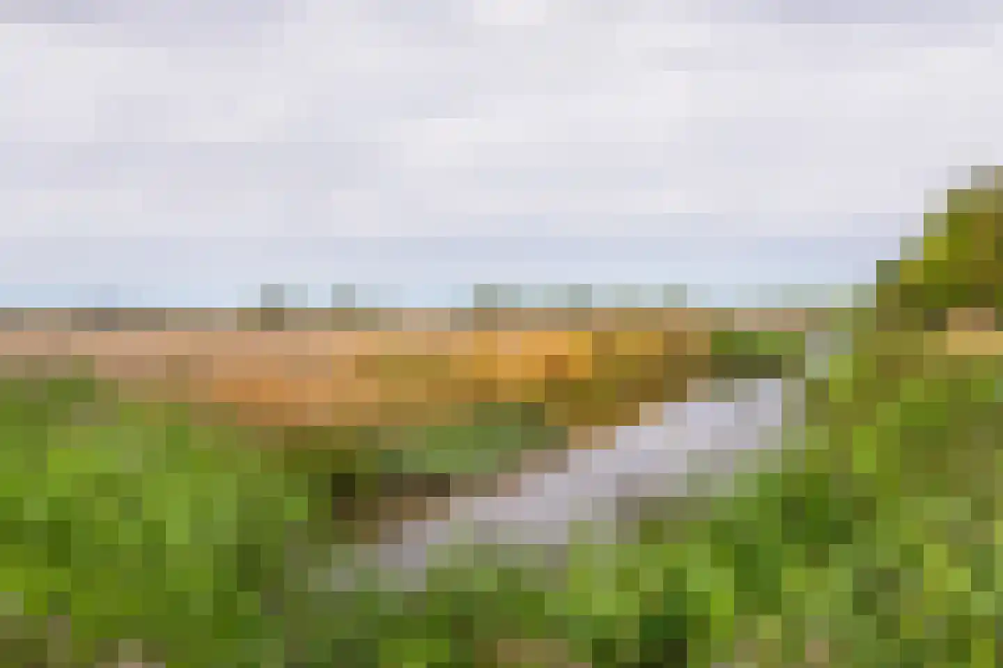 Dennenlaan 181 Zwanenburg thumbnail 33