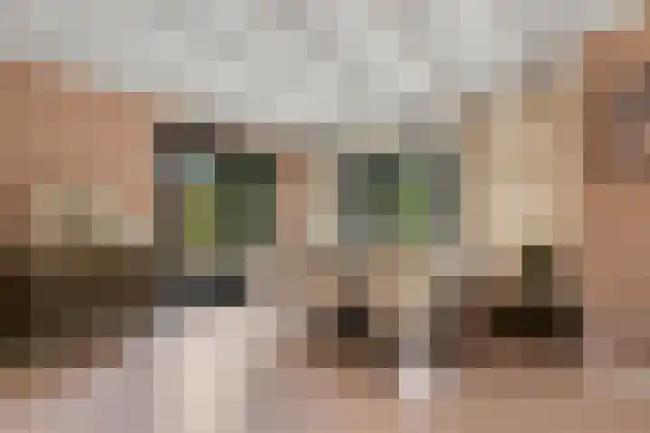 Dennenlaan 198 Zwanenburg thumbnail 12