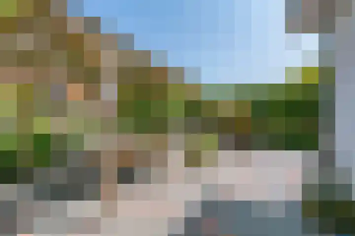 Dennenlaan 198 Zwanenburg thumbnail 48