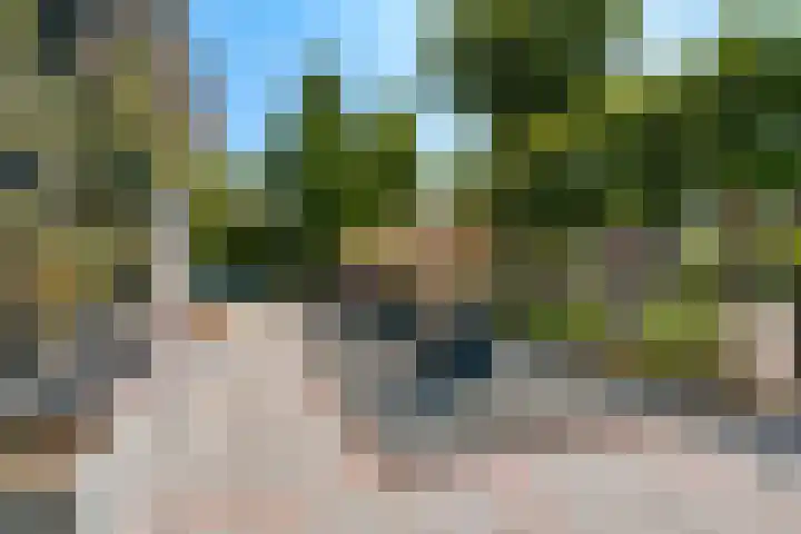 Dennenlaan 198 Zwanenburg thumbnail 57
