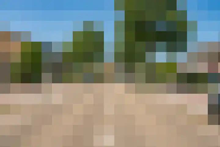 Dennenlaan 198 Zwanenburg thumbnail 64