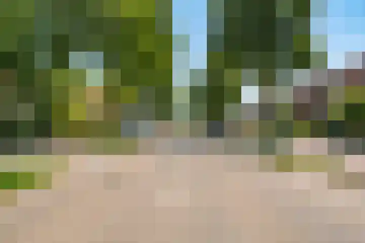 Dennenlaan 198 Zwanenburg thumbnail 65