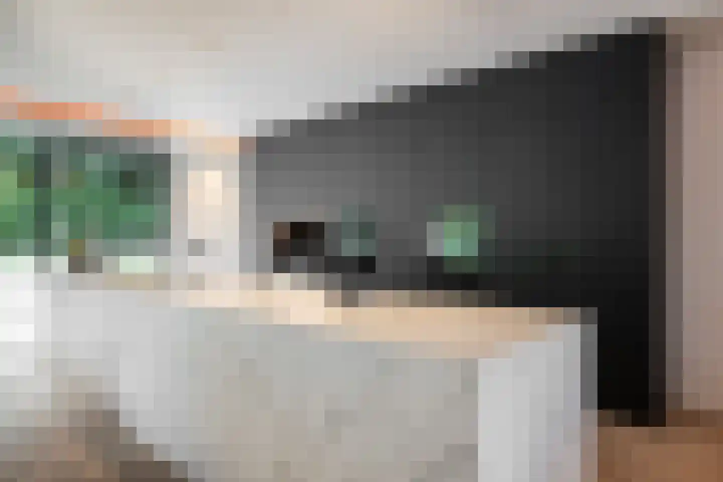 Dennenlaan 2 Landgraaf thumbnail 12