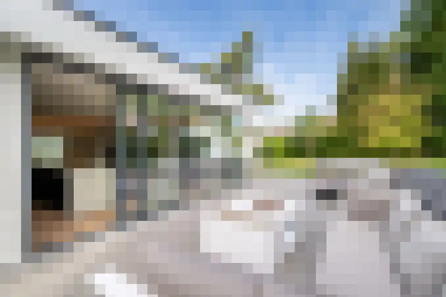 Dennenlaan 2 Landgraaf thumbnail 35
