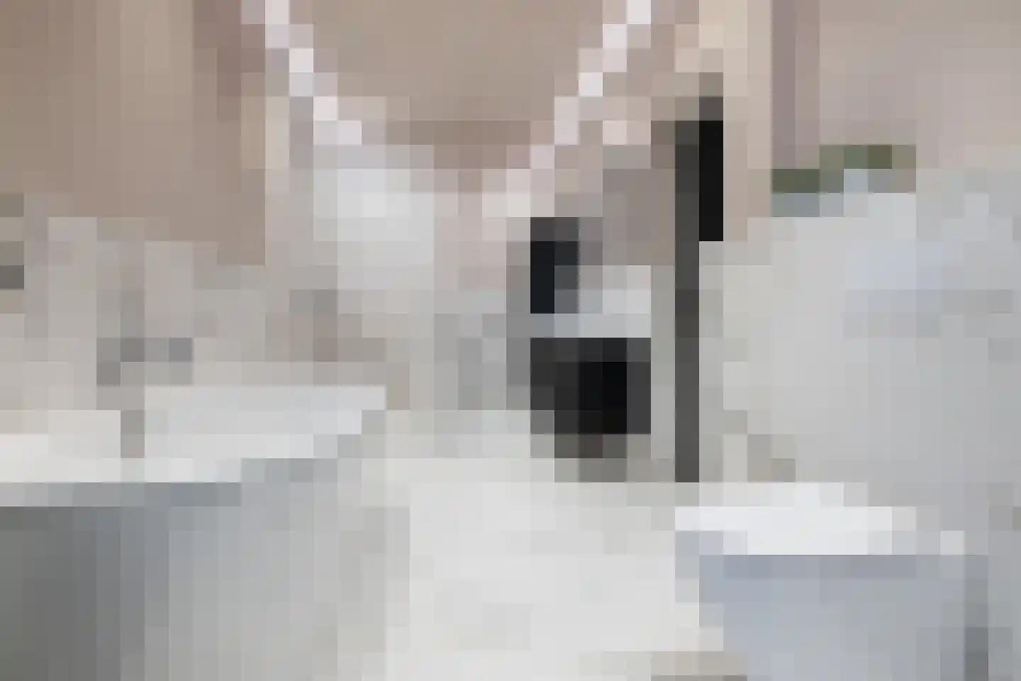Dennenlaan 2 Landgraaf thumbnail 4