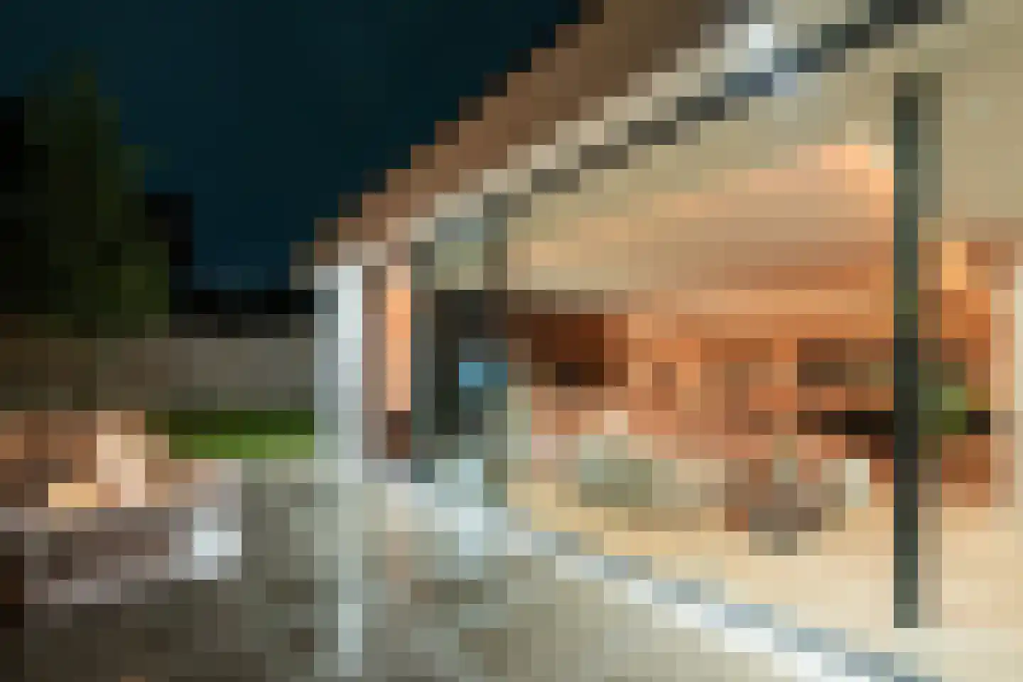 Dennenlaan 2 Landgraaf thumbnail 40