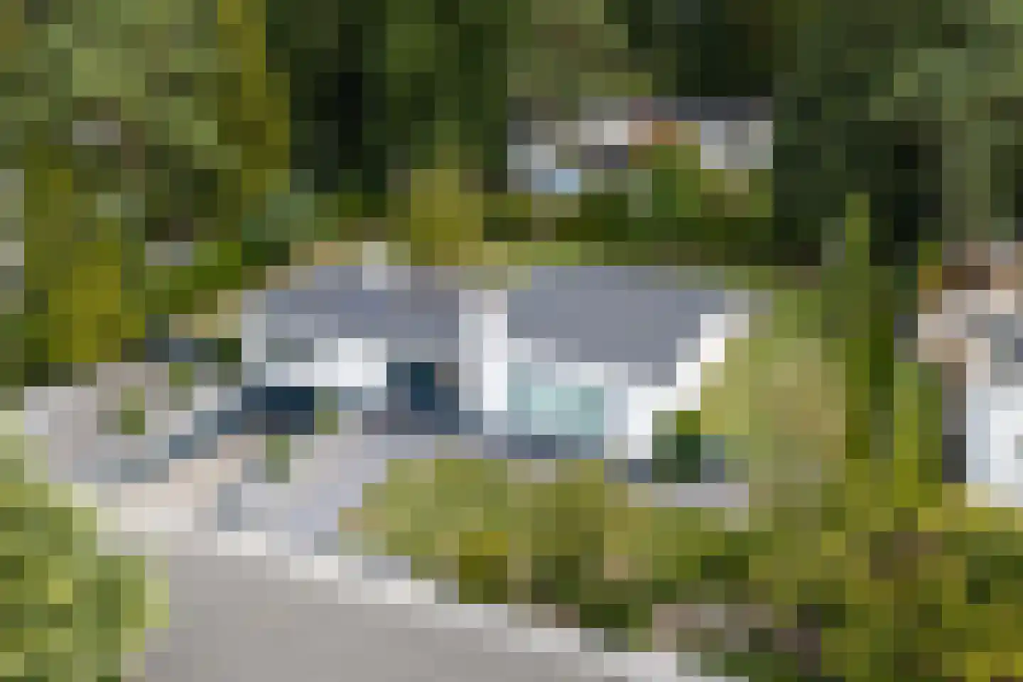 Dennenlaan 2 Landgraaf thumbnail 44