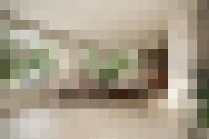 Dennenlaan 2 Rosmalen thumbnail 10