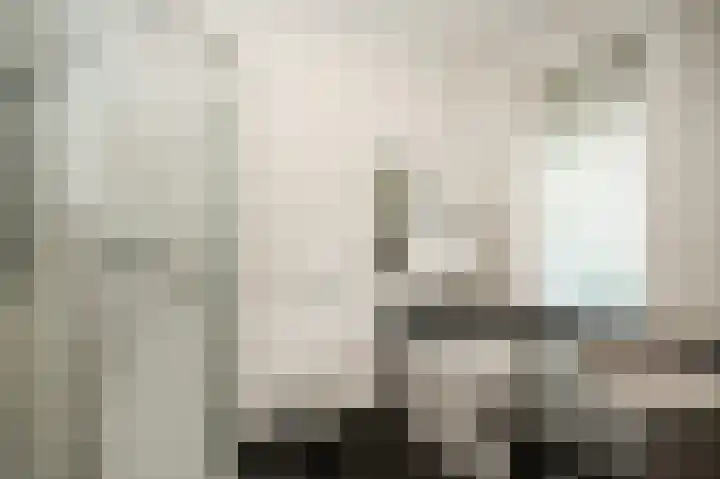 Dennenlaan 2 Rosmalen thumbnail 25