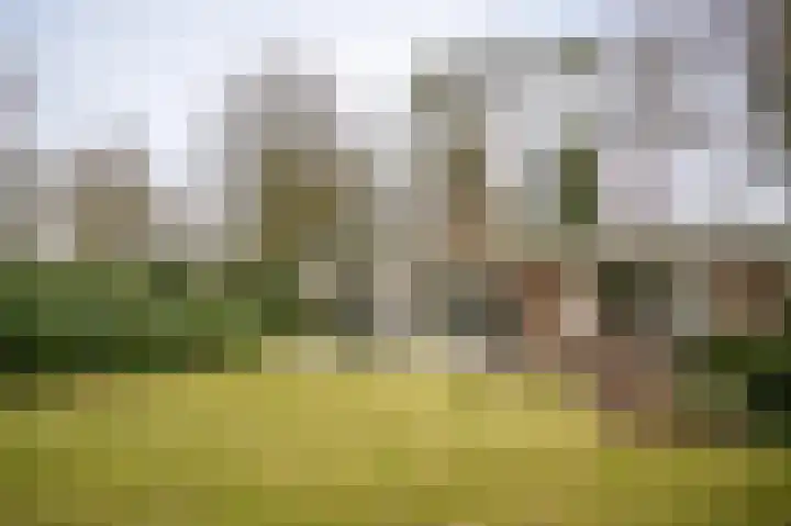 Dennenlaan 2 Rosmalen thumbnail 28