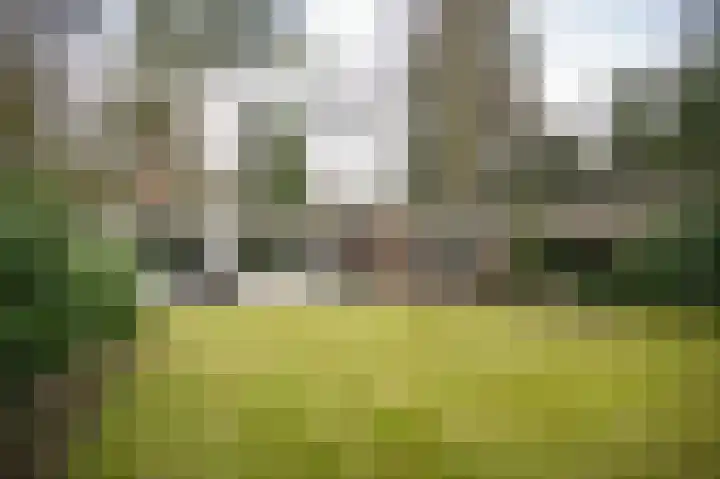 Dennenlaan 2 Rosmalen thumbnail 29