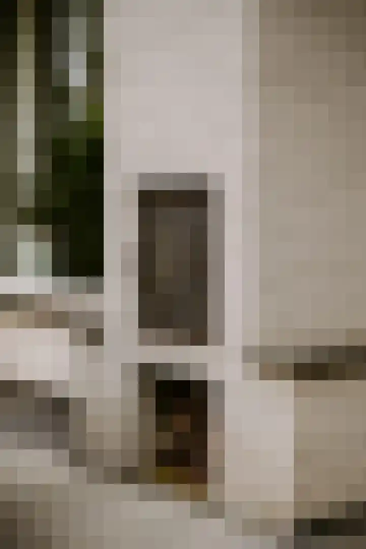 Dennenlaan 2 Rosmalen thumbnail 30