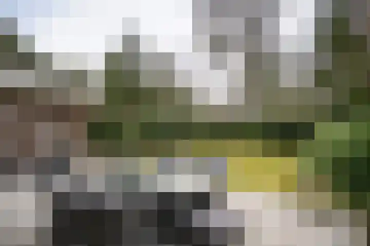 Dennenlaan 2 Rosmalen thumbnail 31