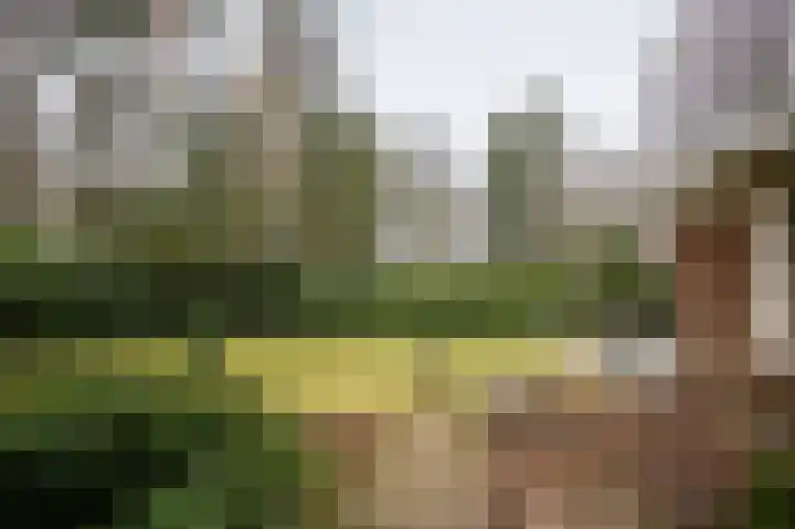 Dennenlaan 2 Rosmalen thumbnail 32